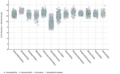 Repurposed Biguanide Drugs in Glioblastoma Exert Antiproliferative Effects via the Inhibition of Intracellular Chloride Channel 1 Activity